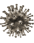 Virus